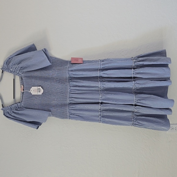 Ivy City Co Dresses & Skirts - NWT IVY CITY BLUE GINGHAM DRESS SIZE 3X